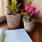 Bed and Breakfast Prachtig Allemachtig Valkenburg aan de Geul