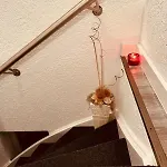 Prachtig Allemachtig Bed and Breakfast