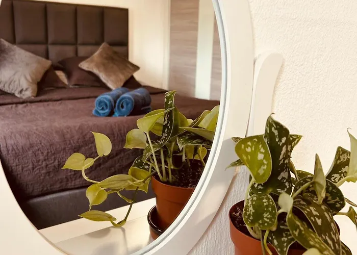 Bed & Breakfast Prachtig Allemachtig Valkenburg aan de Geul