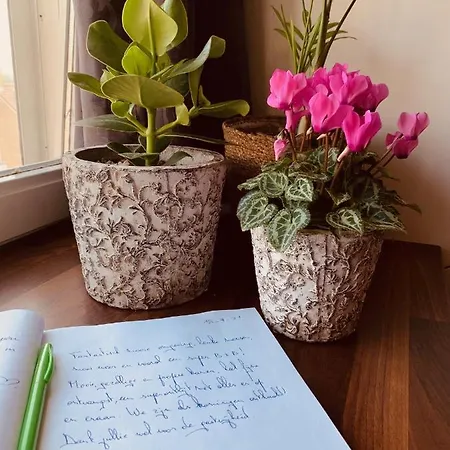 Nocleg ze śniadaniem Prachtig Allemachtig Valkenburg aan de Geul