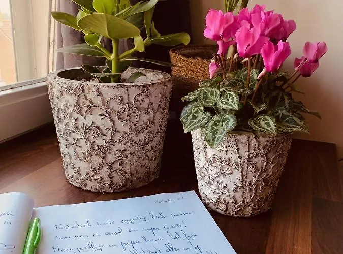 Bed & Breakfast Prachtig Allemachtig Valkenburg aan de Geul